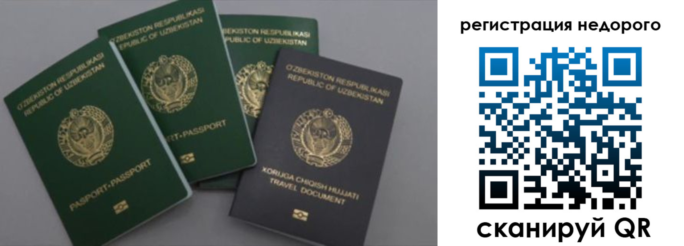 пропишу в квартире в Северной Осетии